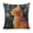Orange cat under the stars 1, variant on Red and white checkered cross Linen toss pillowcase decoration pillowcase gifting preferred 18x18 inch cushion cover 2 sets sofa pillowcase sofa bedroom living room car