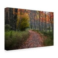 thumbnail image 4 of Trademark Fine Art Danny Head  Autumn Drive II Canvas Wall Art, 4 of 4