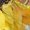 #Yellow, variant on SpringTTC Women Floral Print V Neck Straight Baggy T-Shirts