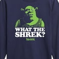 thumbnail image 3 of Shrek - What The Shrek - Toddler & Youth Long Sleeve Graphic T-Shirt, 3 of 5