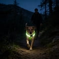 thumbnail image 6 of FeiFu LED Pet Collar for Dogs Double Optical Fiber Luminous Collar USB Rechargeable Glow in the Dark Collar Adjustable Safety Collar for Night Walking, 6 of 7