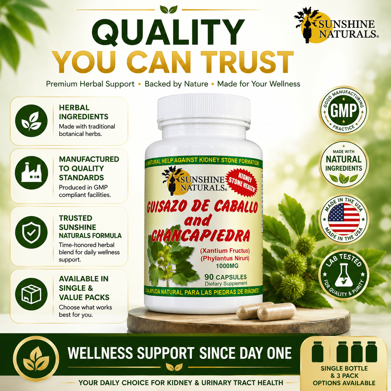 Sunshine Naturals Guisazo de Caballo and Chancapiedra, Kidney Stone Breaker, Dietary Supplements, 90 Capsules