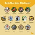 thumbnail image 3 of Birds Choice Large Bird Seed Catcher, Pole Mounted, Recycled Poly-Lumber, 3 of 10