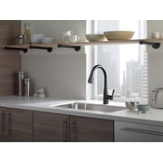 Delta 9113-BL-DST Essa Single Handle Pull-Down Kitchen Faucet in Matte Black