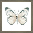 thumbnail image 2 of Great Art Now Steady Wings by Patricia Pinto, 2 Piece Framed Art Set Each 13"W x 13"H, 2 of 3