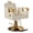 Beige-Gold, variant on KIGOTY Salon Chair for Hair Stylist, Reclining Salon Chair, Professional Styling Salon Chairs with Heavy Duty Hydraulic Pump, 440LBS,All Black