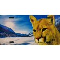 thumbnail image 1 of Lion Offset Mountain Scene Photo License Plate, 1 of 1