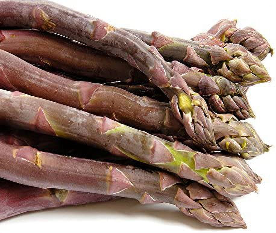 Purple Passion 5 Live Asparagus Bare Root plants2yrcrowns from Hand