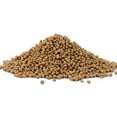 thumbnail image 3 of Bobs Red Mill Whole Wheat Pearl Couscous, 16 Oz, 3 of 3