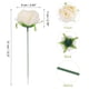 thumbnail image 2 of Uxcell 25Pcs Peonías Flores Artificiales, Cabezas de Flores de Peonía Artificial de Seda con Tallos Falsos, Beige, 2 of 6