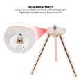 thumbnail image 2 of Artificial Ostrich Feather Table Lamp USB Rechargeable Desk Light With Tripod For Bedroom, 2 of 9