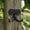 10#Black, variant on Fmxomd Rustic Cast Iron Coat Hooks (1Pack), Wall Mounted, Farmhouse Decorative, Heavy Duty Wall Hooks for Hanging Coats, Hats, Towels
