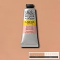 thumbnail image 2 of Pintura Acrílica Galería 60ml GRIS #465 Winsor & Newton piel SIN TAMAÑO, 2 of 2