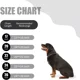 thumbnail image 4 of Wepet Collar De Estrangulamiento Del Perro, La Cadena De..., 4 of 7