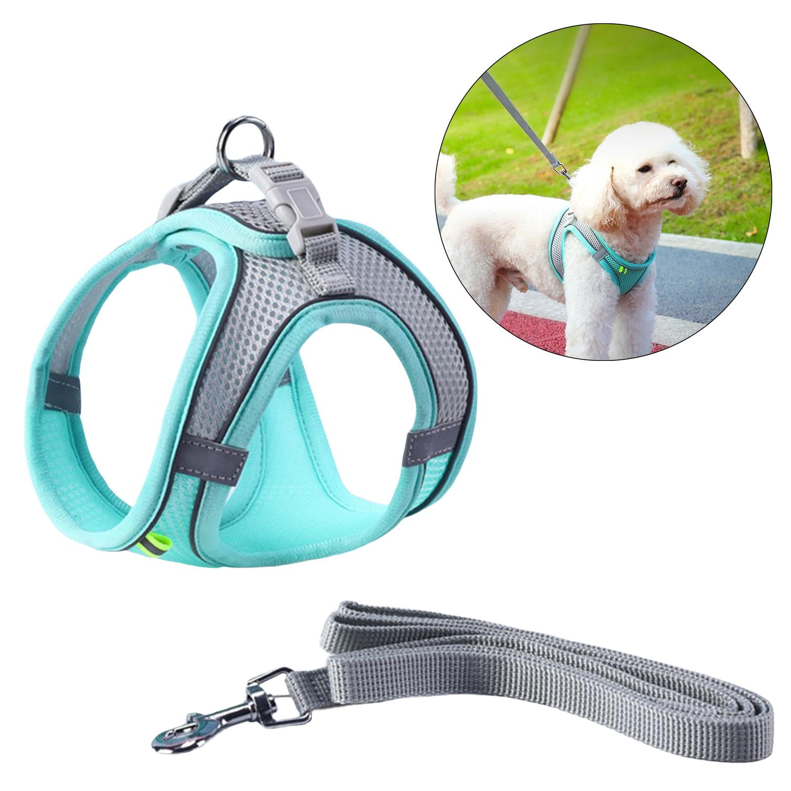 PetSafe 3 in 1 Harness with Two Point Control Leash No Pull Harness