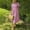 Pink, variant on ClodeEU Women's Short Sleeve Button Down Striped Print Shirt Dress,Casual Loose Fit Collared Midi Dress Blue,Women's Plus L