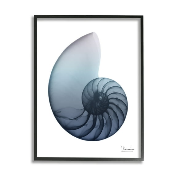 Stupell Industries Contemporary Nautilus Shell Abstract Photography Black Framed Art Print Wall Art, 11 x 14