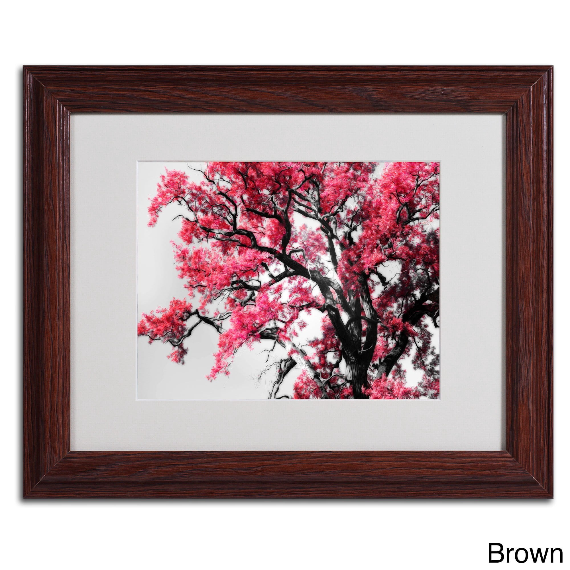 Trademark Fine Art "Glowing Tones" Canvas Art by Philippe Sainte-Laudy, Black Frame