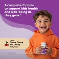 thumbnail image 2 of Multivitamínico para niños Renzo's Picky Eater con hierro, 60 tabletas derretidas, 2 of 8