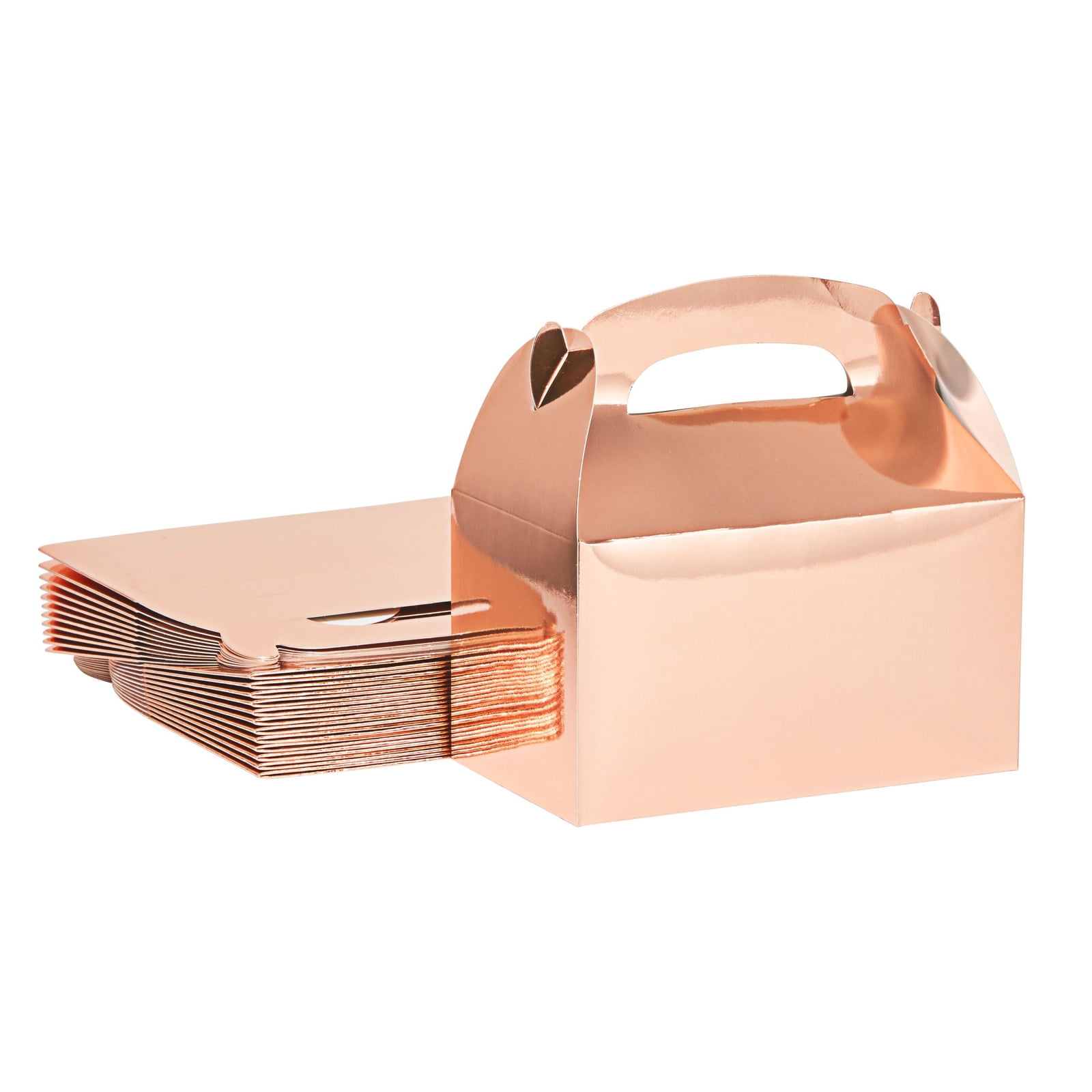 Portable Art and Craft Organizer with Handle 1 Pack Plastic Storage Case, Clear with Rose Gold Accents 