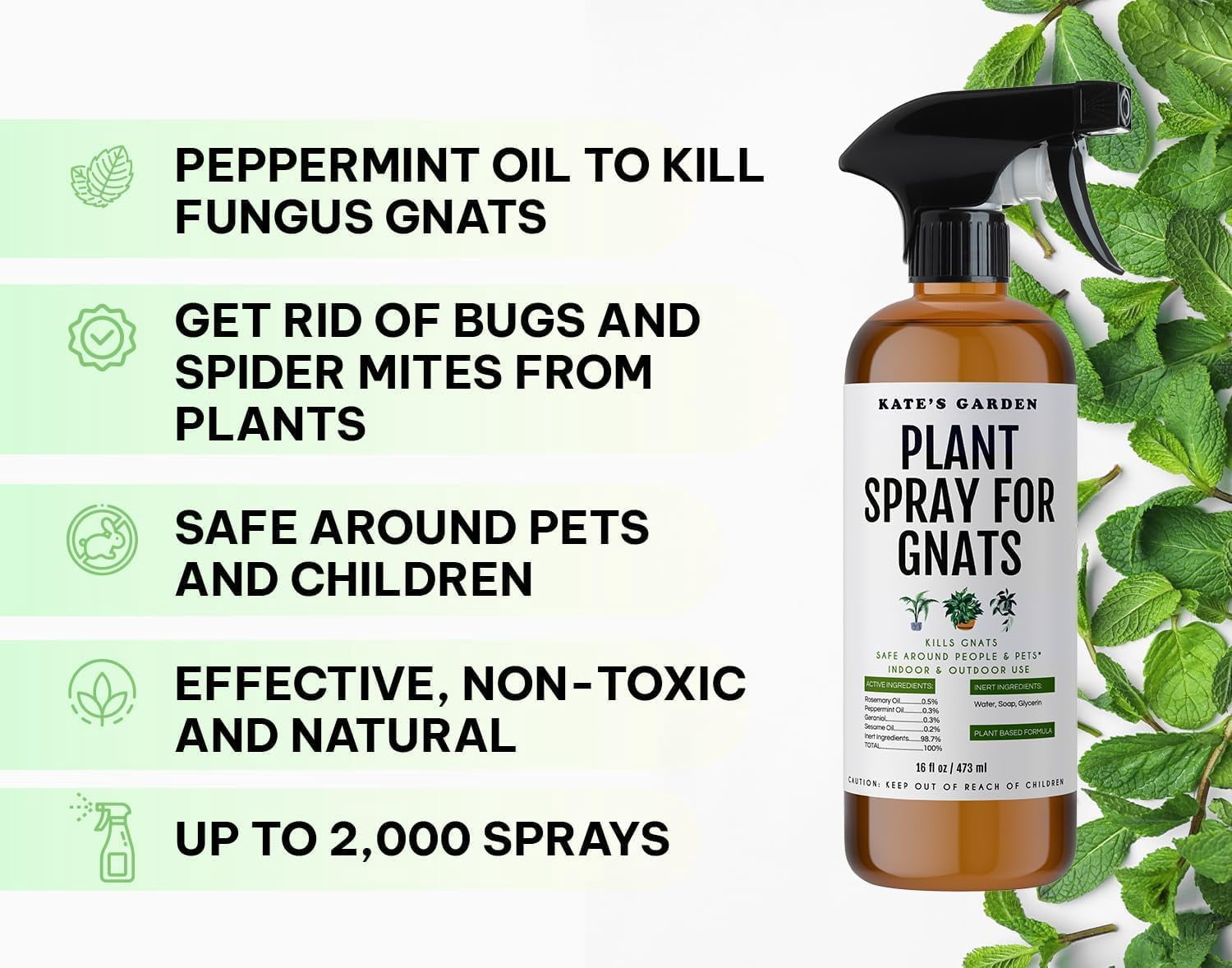 Plant Spray for Insects & Getting Rid of Gnats. Fungus Gnat Killer & Bug Spray for Indoor Plants (16oz, Pet Safe, Non Toxic)