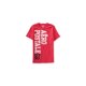 thumbnail image 1 of Camiseta gráfica Aeropostale Aero 87 para hombre color rosa extragrande, 1 of 1