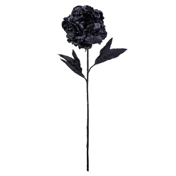 12 Pack: Black Peony Stem by Ashland