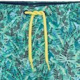 thumbnail image 3 of RIPT Essentials Boys Leaf Print Swim Shorts, 3 of 4