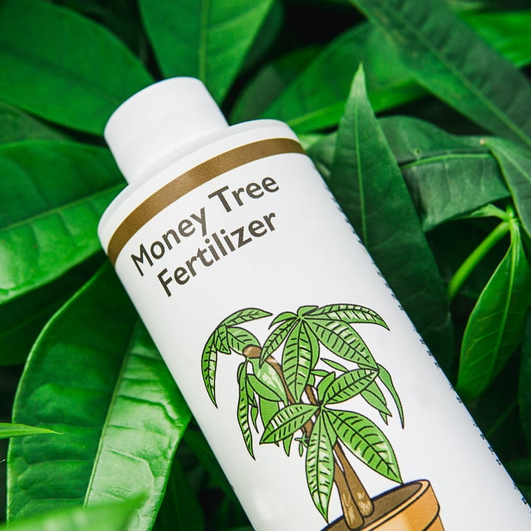 Liquid Money Tree Fertilizer 8oz. of Premium Concentrated Indoor and Outdoor Pachira Aquatica Fertilizer, Use with Containerized Houseplant Money