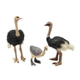 thumbnail image 3 of Figuras de modelos de pájaros animales Hugo coleccionables juguete educativo de aprendizaje decoración, 3 of 10