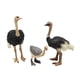 thumbnail image 3 of Figuras de modelos de pájaros animales Hugo coleccionables juguete educativo de aprendizaje decoración, 3 of 10