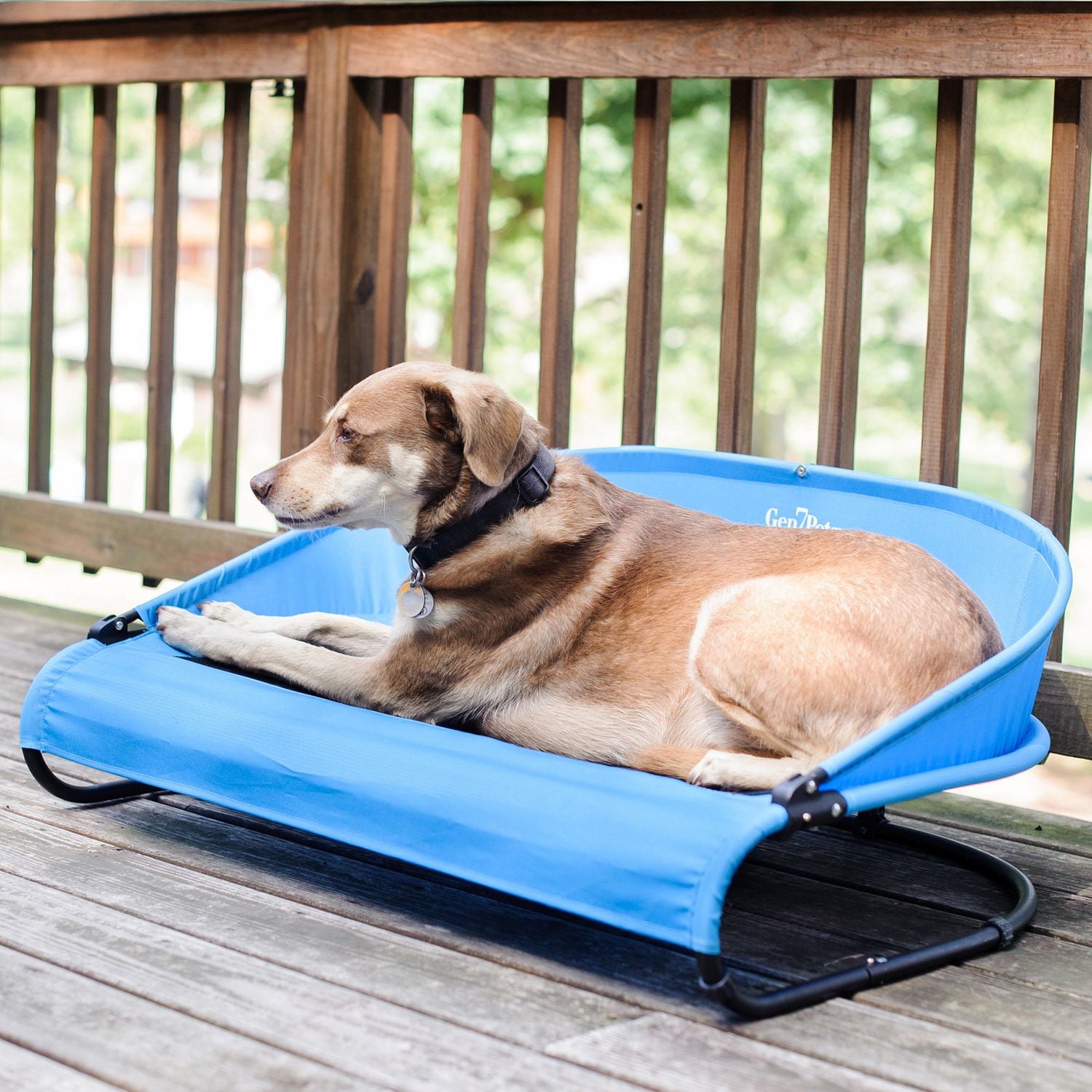 Lit pour animal domestique Cool-Air Cot de Gen7Pets, 91,5 cm (36 po)
