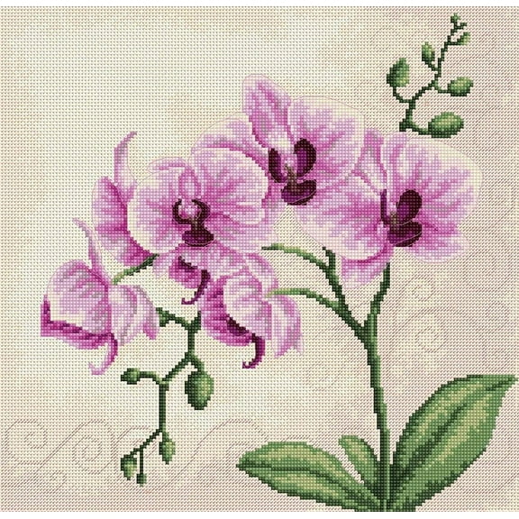 Orchid B2227l Counted Cross-Stitch Kit