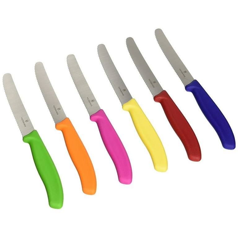 Victorinox Swiss Stainless Steel 6 Piece Round 4.5 Inch Serrated Steak  Knife Set with Green, Orange, Pink, Yellow, Red, and Blue Fibrox Handles 