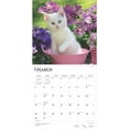 thumbnail image 3 of I Love Kittens 2025 12 X 24 Inch Monthly Square Wall Calendar Plastic-Free (Wall), 3 of 9