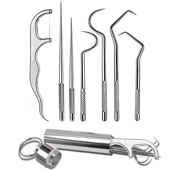 NOGIS 7Pcs Portable Stainless Steel Toothpicks Pocket Set, Reusable Metal Toothpicks Cleaning Kit with Holder for Outdoor Picnic Camping Traveling
