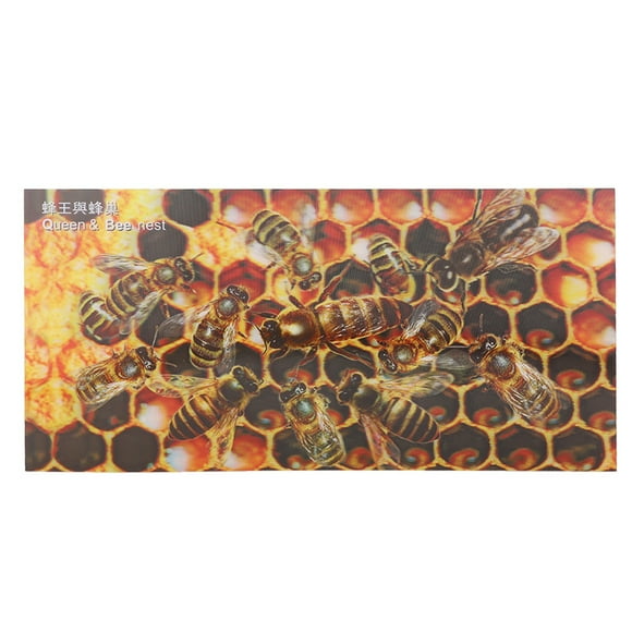 3D Effect Bees Decorative Picture Beekeepers Home Printing Art Decro 50 x 24.5 cm