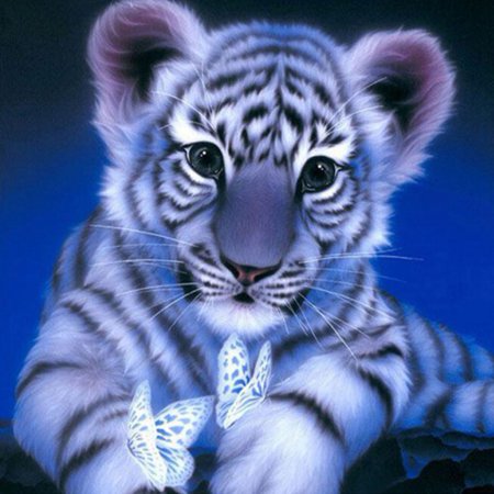 KABOER DIY 5D Diamond Painting by Number Kit, Cute Tiger Round Rhinestone Embroidery Cross Stitch Ornaments Arts Craft Canvas Wall Decor