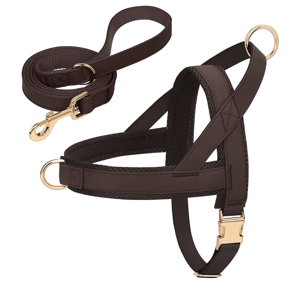 Pet Artist No-Pull Pet Harness and Leash Set, Breathable Mesh & Padded Vest, Front Clip, Adjustable PU Leather with Metal Buckle for Small to Large Dogs