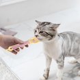 thumbnail image 3 of Cuillère à Presser pour Chat Cuillère de Stockage Alimentaire Multi-Usage Cuillère Humide Portable pour Chaton Chiot Cuillère à Friandises pour Chat, 3 of 5