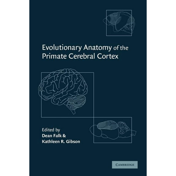 Evolutionary Anatomy of the Primate Cerebral Cortex, (Paperback)