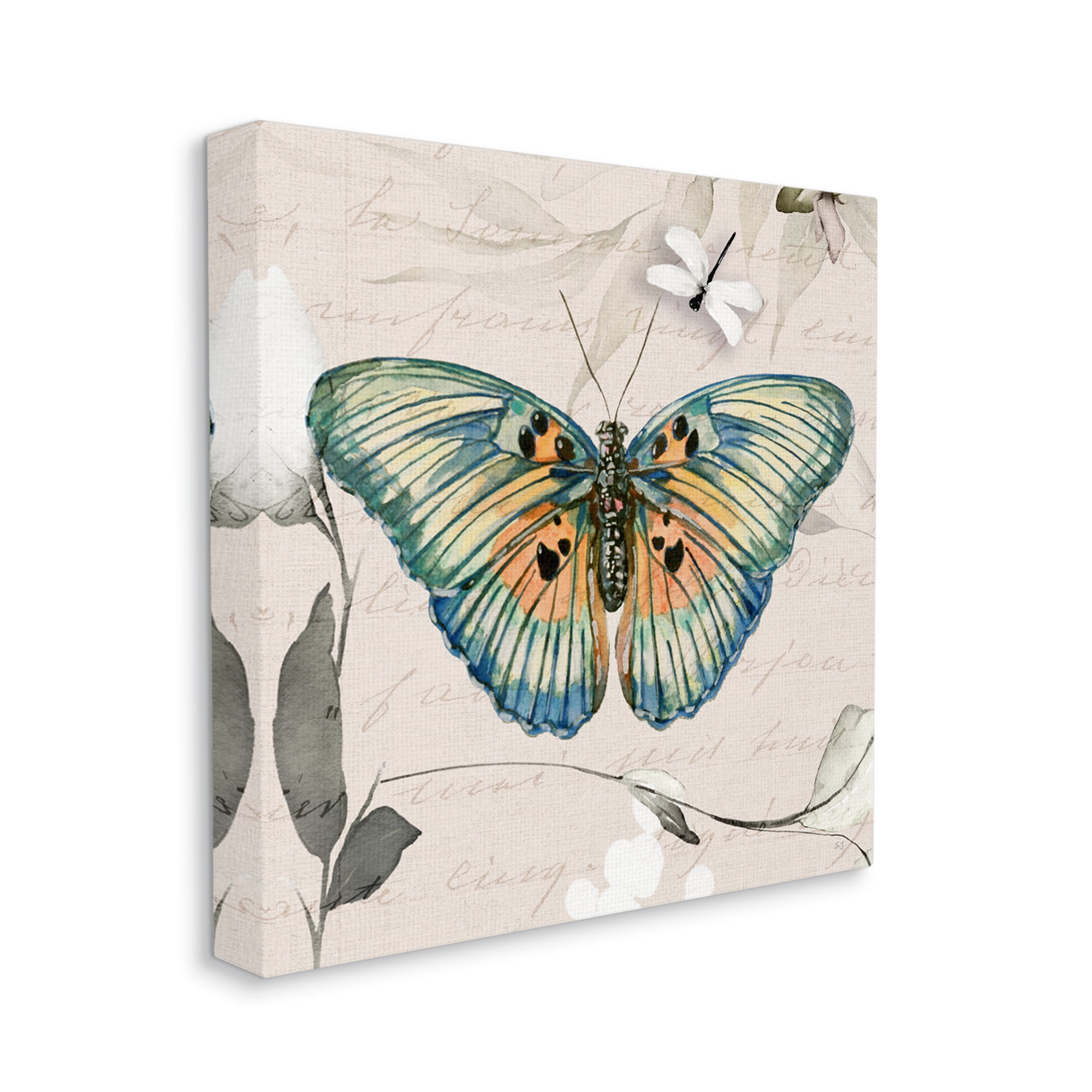 Stupell Industries Vintage Butterfly with Cursive Animals & Insects Painting Gallery Wrapped Canvas Art Print Wall Art, 30 x 30