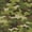 Color 1, variant on Peel and Stick Wallpaper Seamless Camouflage 24in x 118in Contact Paper Removable Self Adhesive Wall Mural Wall Decor for Bedroom Kitchen Cabinets