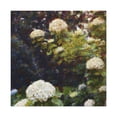 thumbnail image 1 of Hydrangea in Pointillism - Canvas, 1 of 10