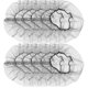 thumbnail image 1 of MERRYHAPY 100Ud Red De Cabello Desechable De Nylon Transpirable Para Uso En Casa Color Negro, 1 of 6