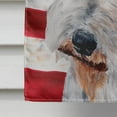 thumbnail image 4 of Carolines Treasures SC9628CHF Wire Fox Terrier with American Flag USA Flag Canvas House Size  Large multicolor, 4 of 4