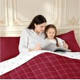 thumbnail image 4 of Manfei Minimalist Plaid Queen Comforter Set,Modern Grid Comforter Sets Queen,Dark Red White,Reversible,3pcs,1 Comforter and 2 Pillowcases,3pcs,1 Comforter and 2 Pillowcases, 4 of 7