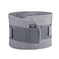 thumbnail image 2 of SPRING PARK Back Support Lower Back Brace Pain Relief Lumbar Support Belt for Men and Women, 2 of 7
