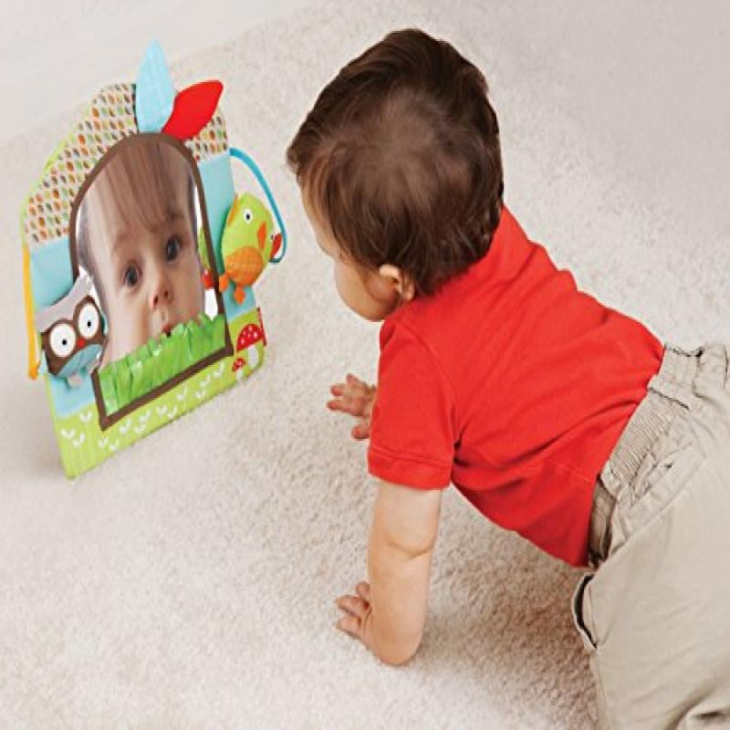 skip hop car seat mirror