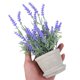 thumbnail image 1 of ADDHAT Planta Lavanda Falsa En Maceta Para De Oficina Y En Tonos, 1 of 7